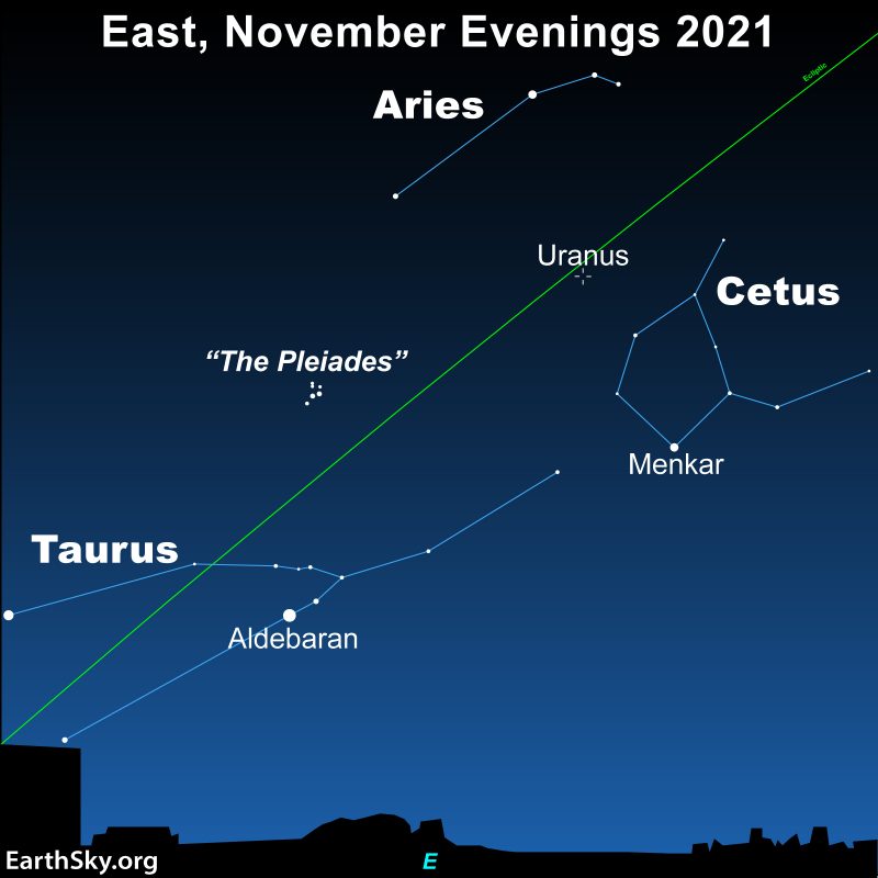Star chart showing eastern sky on November evening, with the location of Uranus marked.