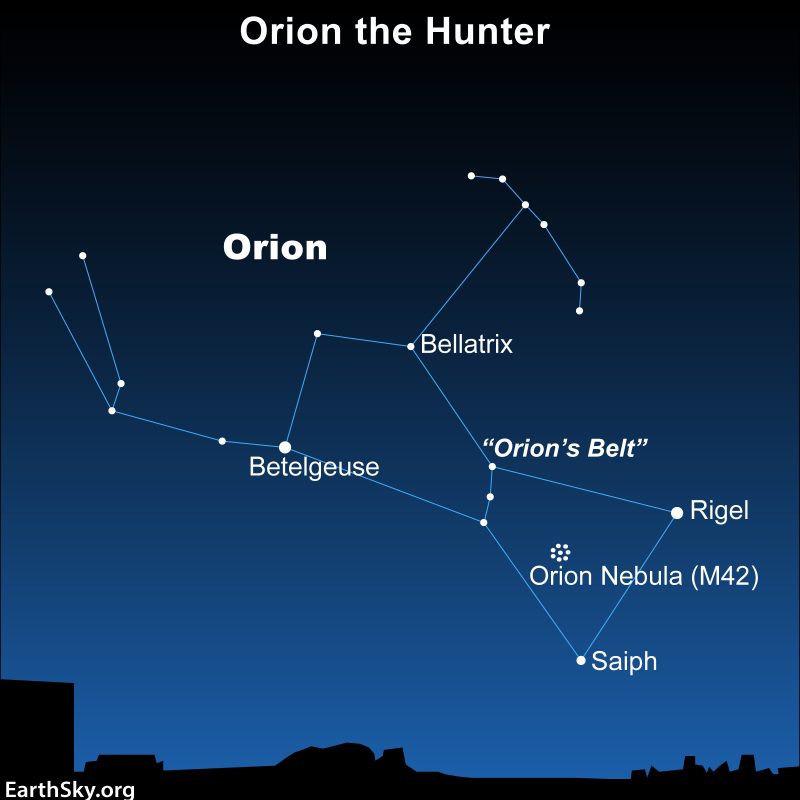 Star chart of constellation Orion with stars, Belt, and a nebula labeled.