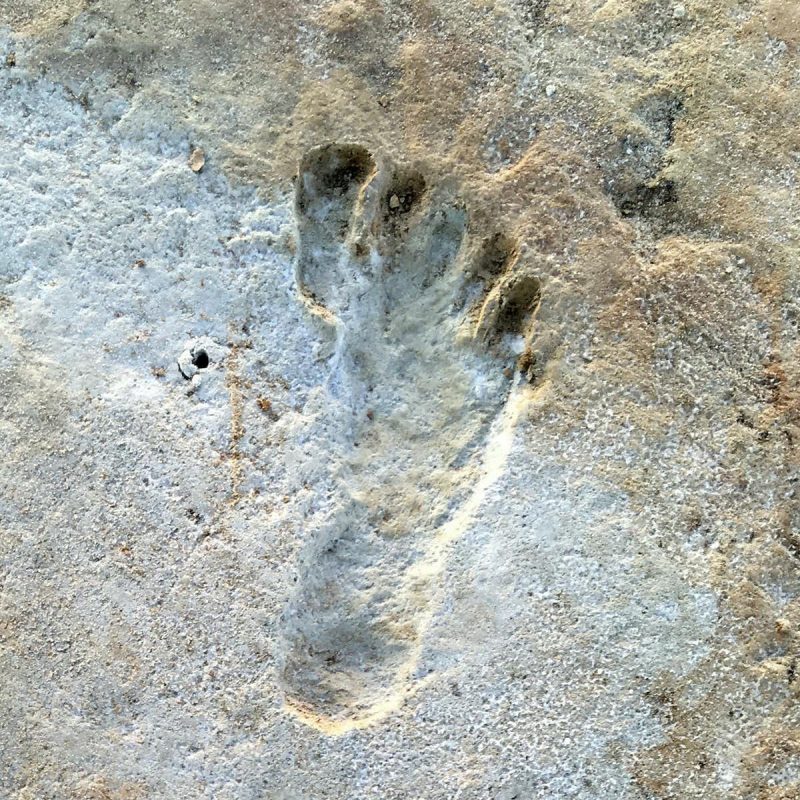 A single bare footprint, embedded in what looks like rock.