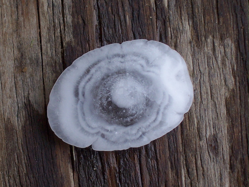 White, icy oval object with concentric layers, sitting on wood.