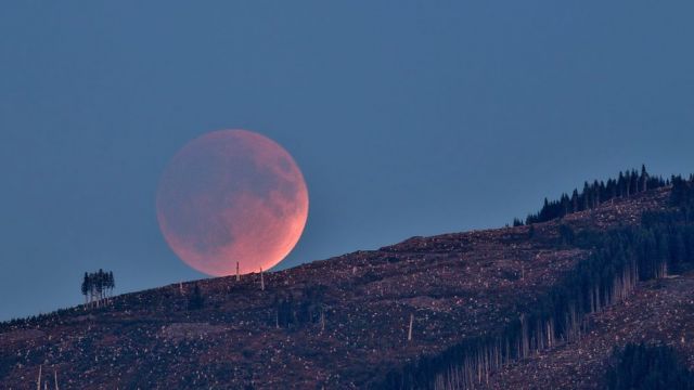 Large pink moon in near total eclipse, just over a hill.