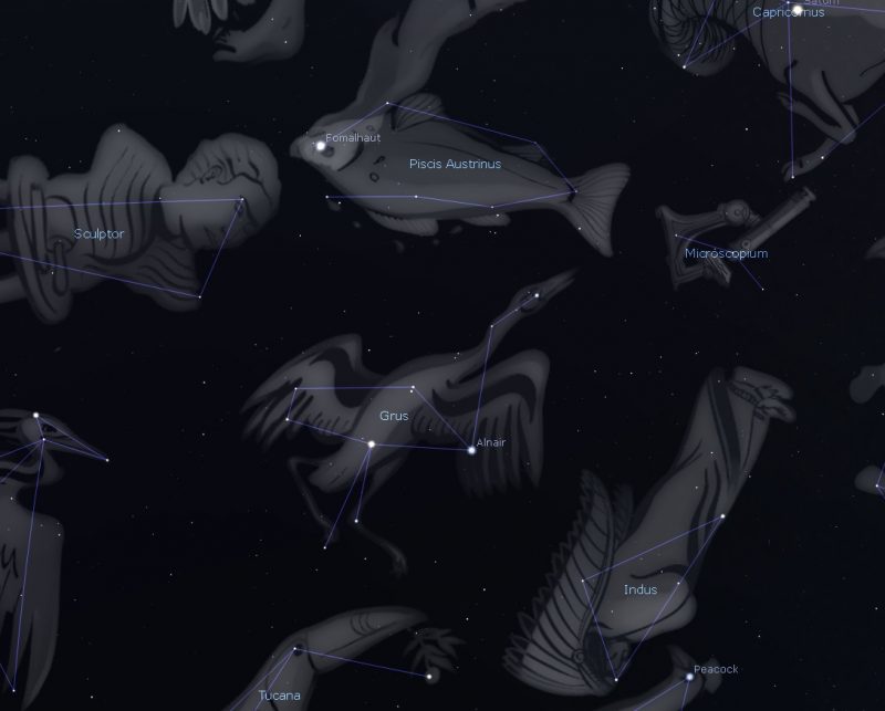 Star chart with pictorial constellations drawn, Grus at center.