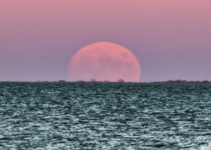 Large pink moon in lavender sky ascending above the ocean.