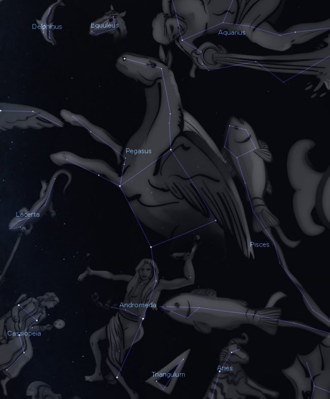 Star chart with pictures of Pegasus the Flying Horse and neighboring constellations.