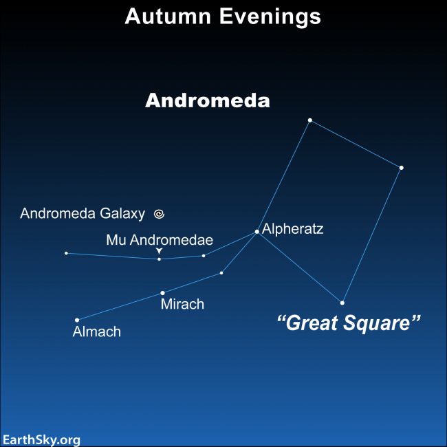 Sky chart showing Andromeda, with Andromeda Galaxy, Great Square and several stars labeled including Almach.