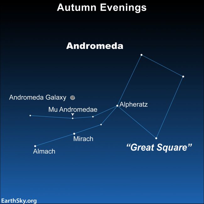 Almach, a quadruple star system in Andromeda