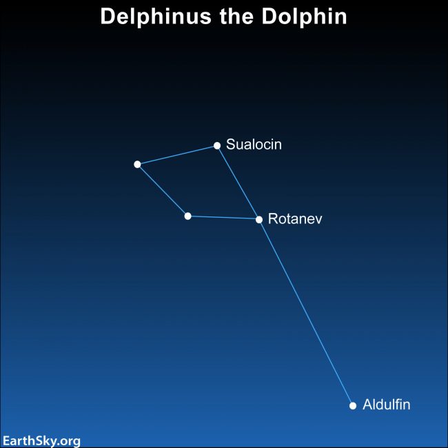 Star chart of constellation Delphinus with 5 stars, 3 labeled.