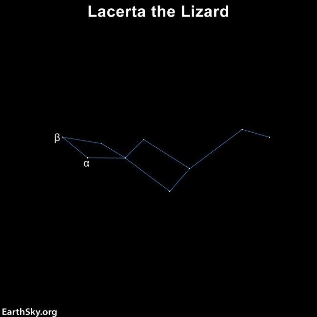 Sky chart showing the constellation Lacerta the Lizard with Alpha and Beta stars labeled.