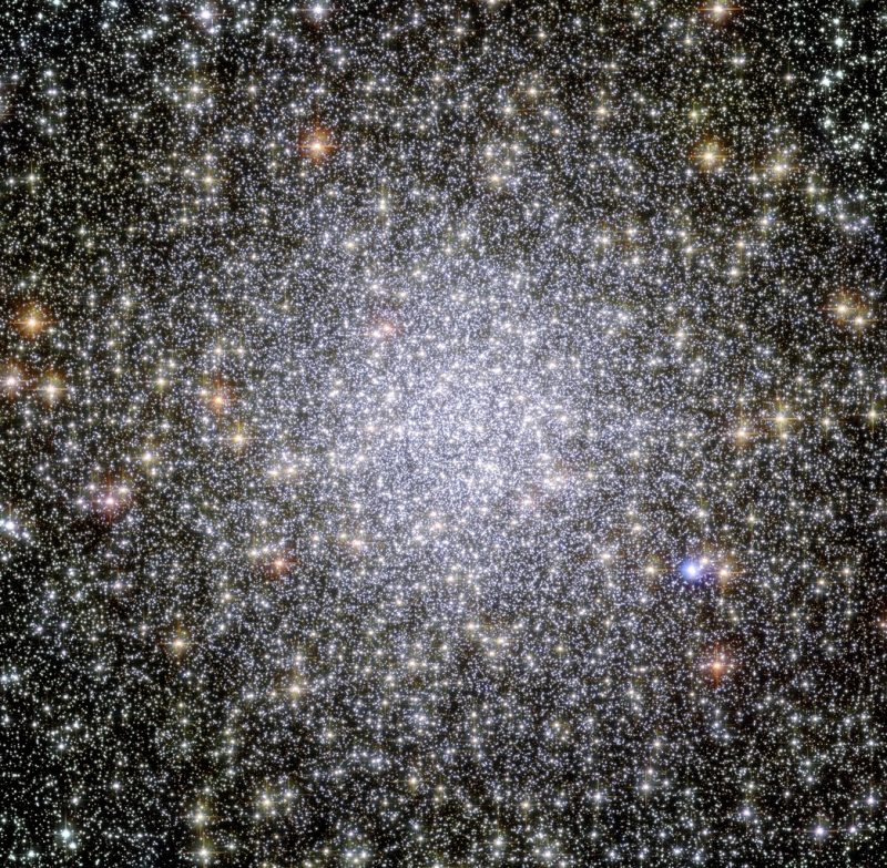 Densely packed cluster of white stars with some orangish dots on the outskirts.
