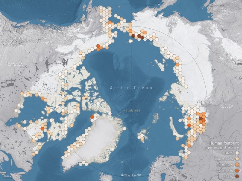 Permafrost thaw: Map of the Arctic, with very many little multicolored hexagons lining Arctic shorelines.