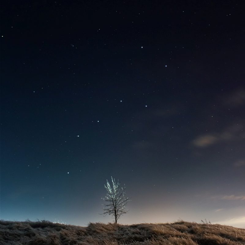 Lone tree with Big Dipper above, handle pointing down. Double stars Mizar and Alcor visible.