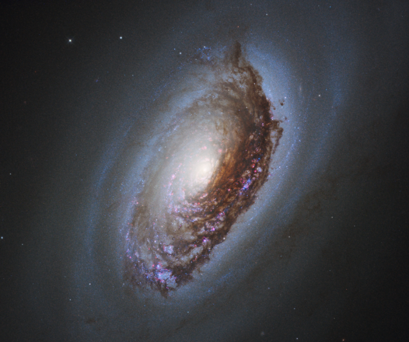 Oblique view of giant spiral galaxy showing dark brown obscuring dust along the front half.