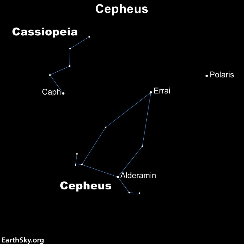 Star chart of Cepheus and Cassiopeia with stars including Polaris labeled.