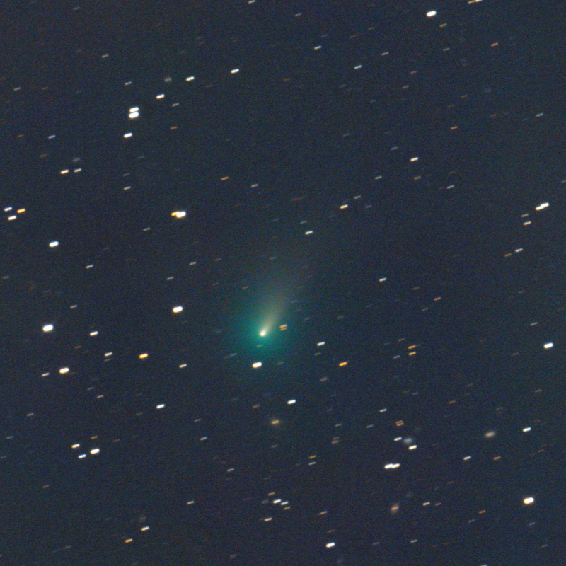 Fuzzy green comet with short tail against distant star field.
