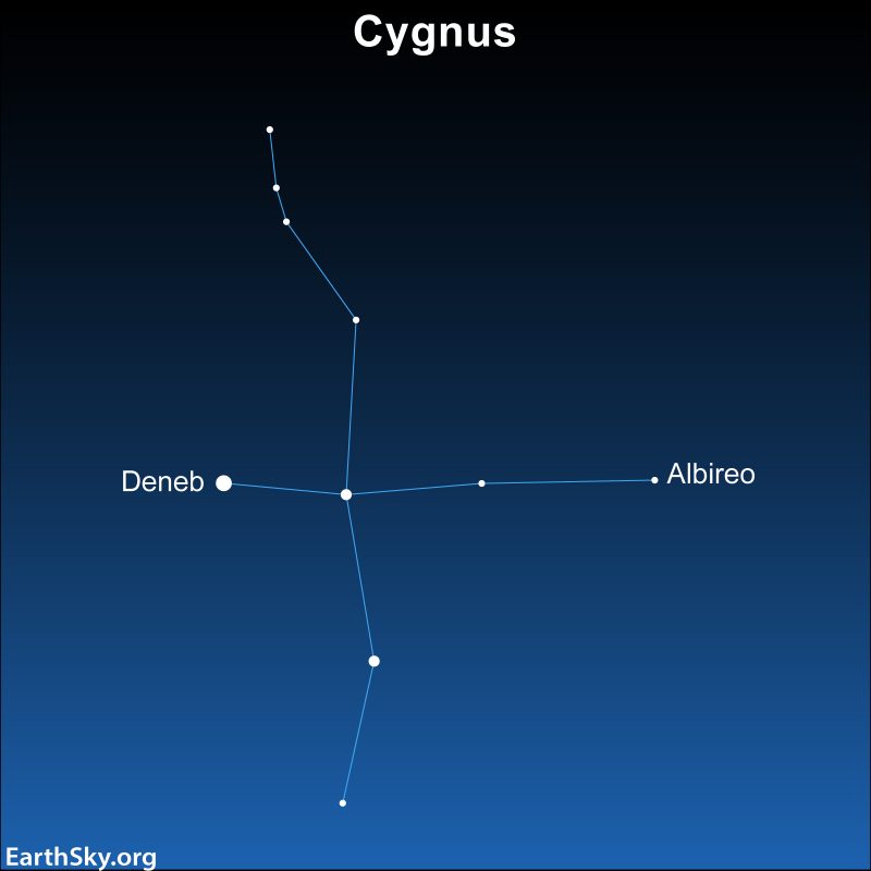 Sky chart showing Cygnus looking like a sideways cross with 2 stars labeled.