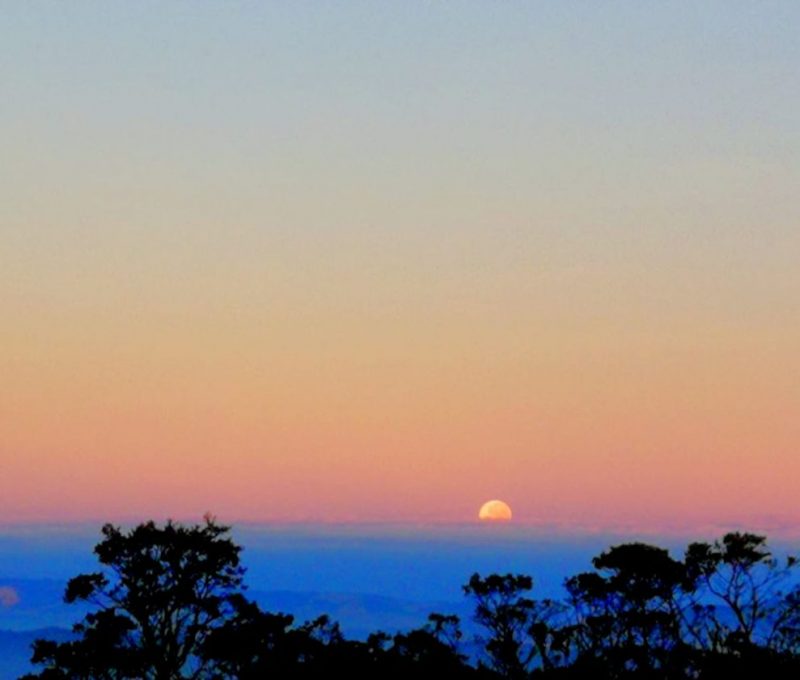 Orange-pink sky above blue horizon, half of eclipsed moon on horizon.