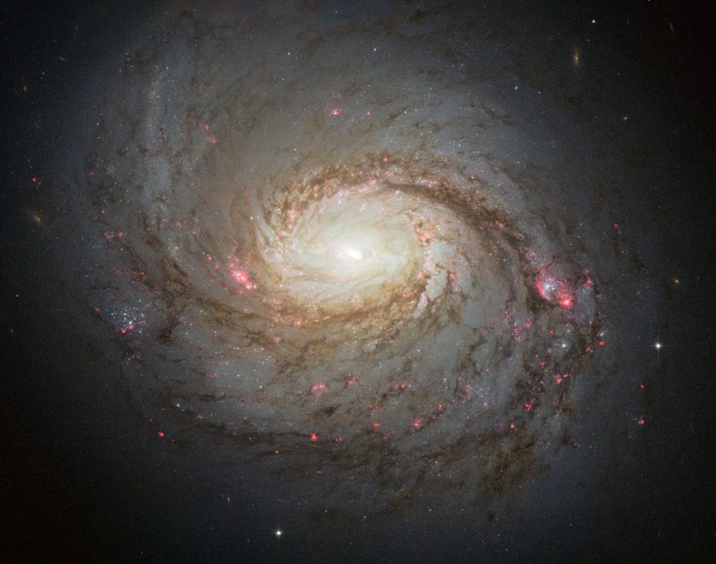 An elongated spiral galaxy with red dots along the dusty spiral arms and a bright center.