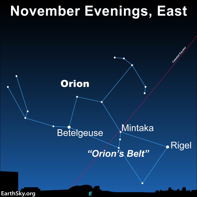 Orion's Belt: Star chart of large constellation Orion with stars and 3-star Belt labeled.