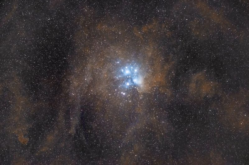 Whitish blue cluster of stars and nebulosity surrounded by orange and black dust in dark star field.