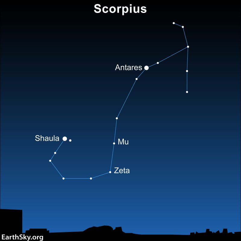 Sky chart showing Scorpius with double stars Mu and Zeta.