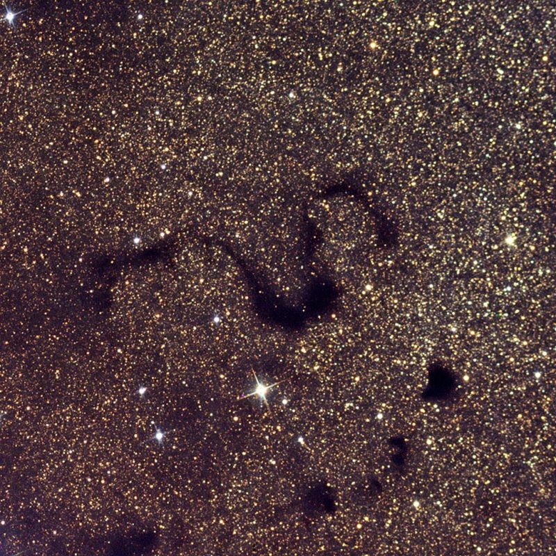 Extremely dense starfield with dark S-shaped path in the middle. Some black blobs below.