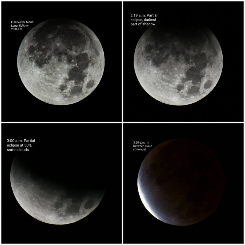 Composite image showing 4 stages of the partial lunar eclipse. The moon gets darker from top left to bottom right.