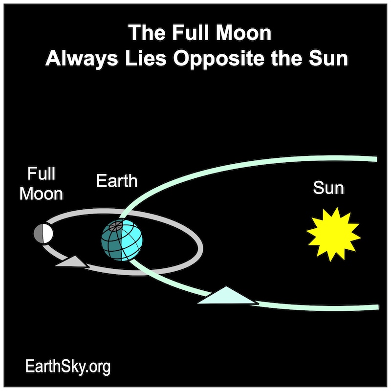 December full moon: Diagram of Earth with moon and sun on opposite sides.