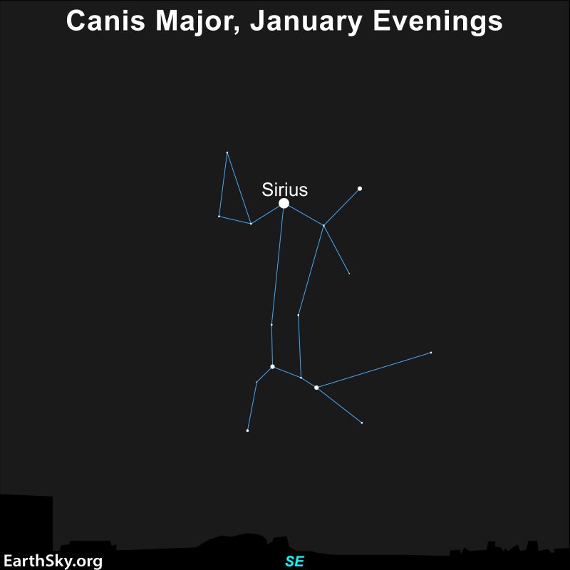 Canis Major the Greater Dog made from dots and lines, with larger white dot at neck and labeled Sirius.