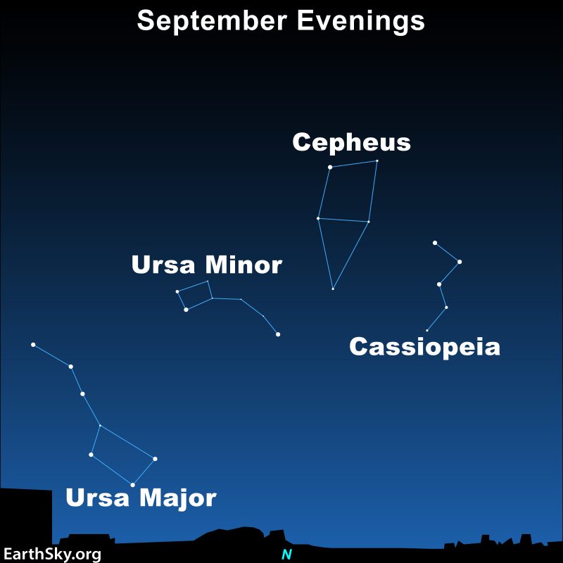 Star chart of Cepheus the King and Cassiopeia with stars including Polaris labeled.