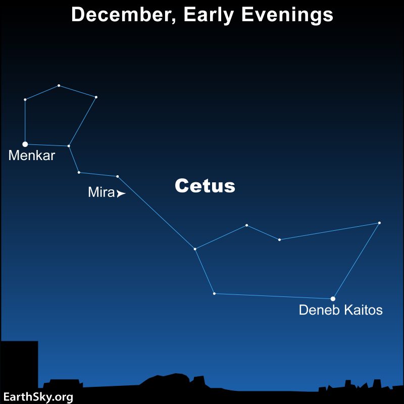 Star chart showing the constellation Cetus the Whale.