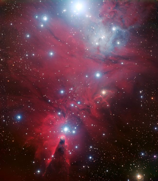 Christmas Tree Cluster: Cone of dark cloudiness at bottom, vast clouds of red gas with bluish white dots of stars above.