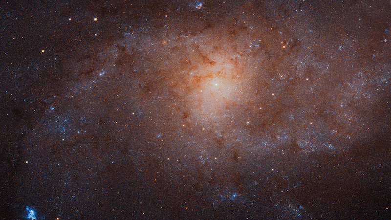 A nebulous pinwheel of mostly unresolved stars with some dark tendrils that are dust lanes in the galaxy. The color of most of the galaxy is yellowish-red, with some small light blue features in the outer edges.