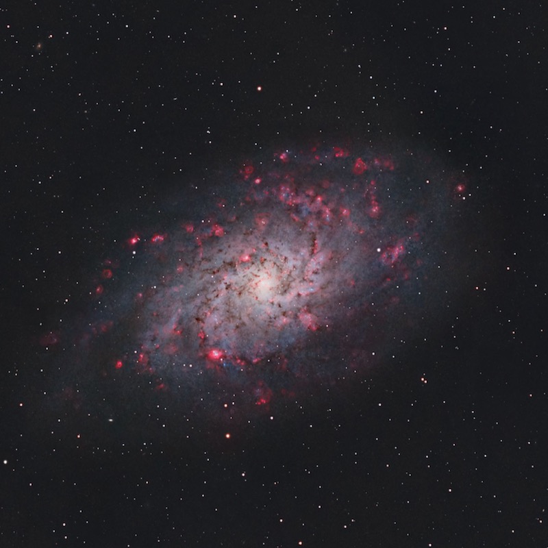 Glowing, swirling cloud with spiral arms and many scattered pink spots, in starry space.