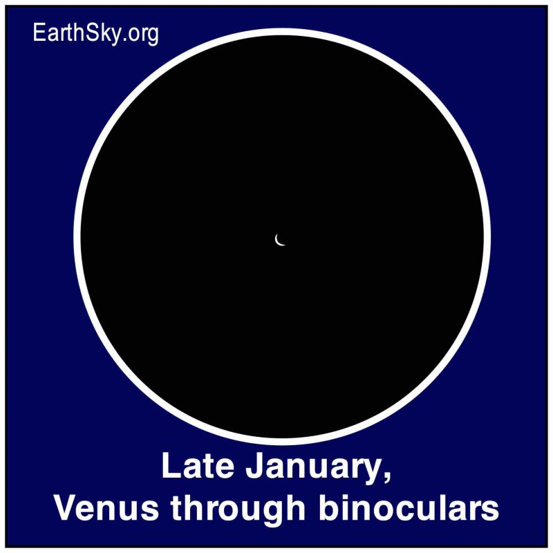 Chart of crescent Venus on black background, as it's expected to be seen through binoculars.
