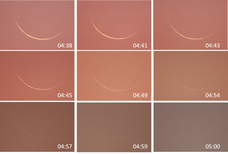 Waning crescent: Nine views of thinner and thinner moon against a pink sky.