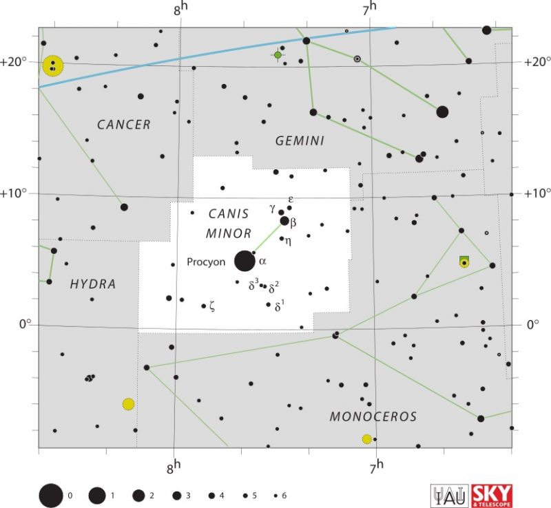 Star chart, black dots on white background, large Procyon labeled.