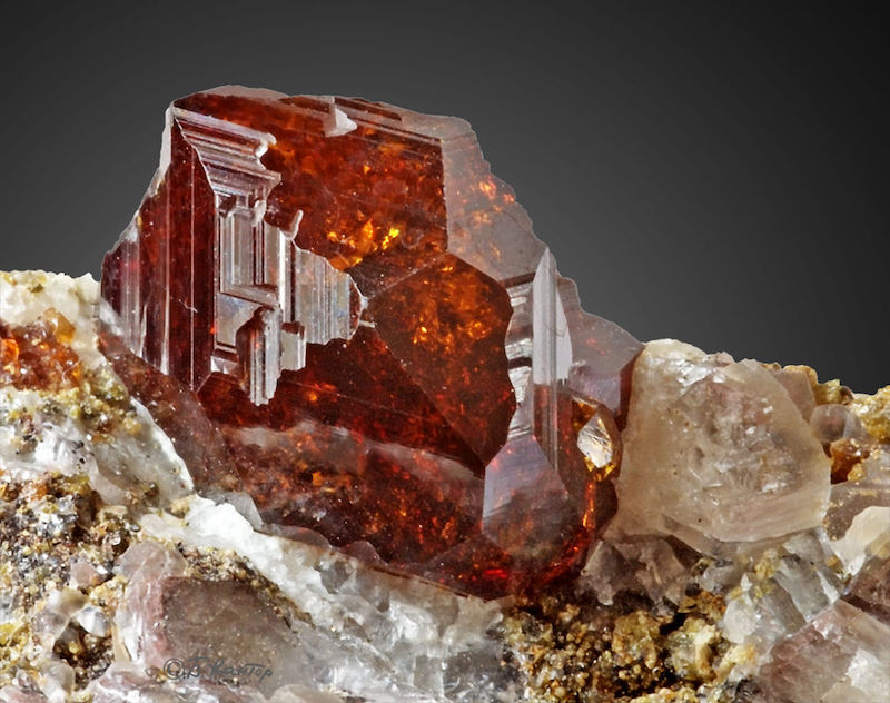 January birthstone: A translucent red crystal with many natural facets growing from a beige and white rock.