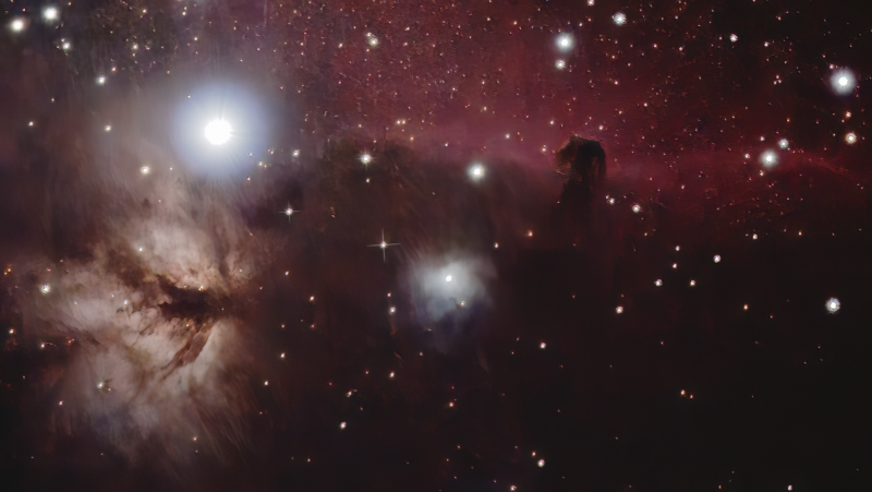 Some bright stars with reddish background and horsehead shape in black.