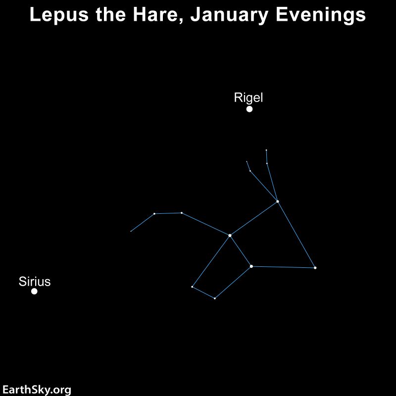 Lepus the Hare: Star chart with lines connecting stars of Lepus, plus labels for nearby Rigel and Sirius.