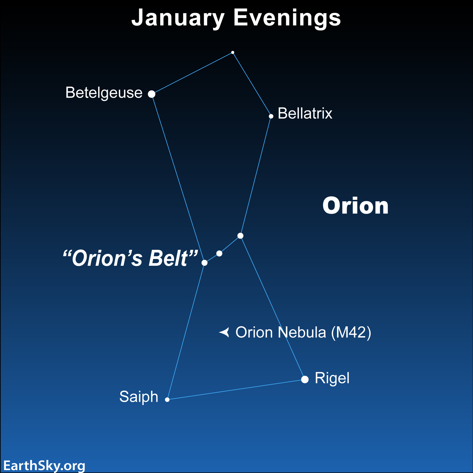 Rigel: Star chart with labeled dots for stars and light blue lines tracing the constellation Orion. It looks like a hourglass.