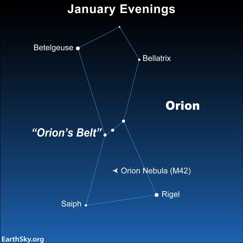 A star chart with white dots representing stars connected by light blue lines to trace the shape of the constellation. It is against a blue backdrop.