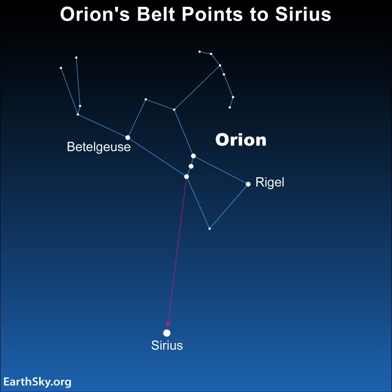 Sirius: Chart of Orion with a red arrow leading from Orion's Belt to Sirius.