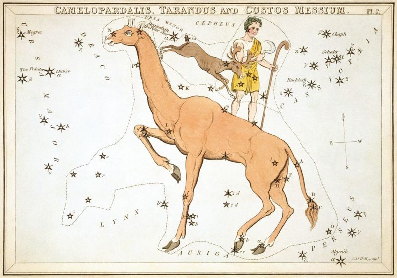 Drawing of a giraffe without spots and a man and deer on its back.