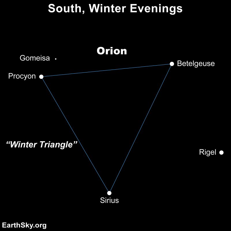 Procyon, Betelgeuse and Sirius form a triangle.