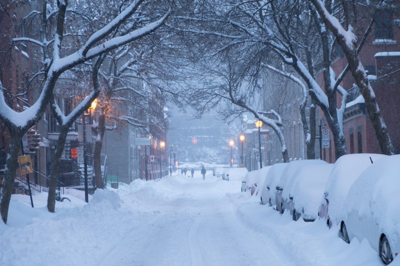 Lake-effect snow: A city street under arching, leafless, snowy trees with cars buried deeply in snow.