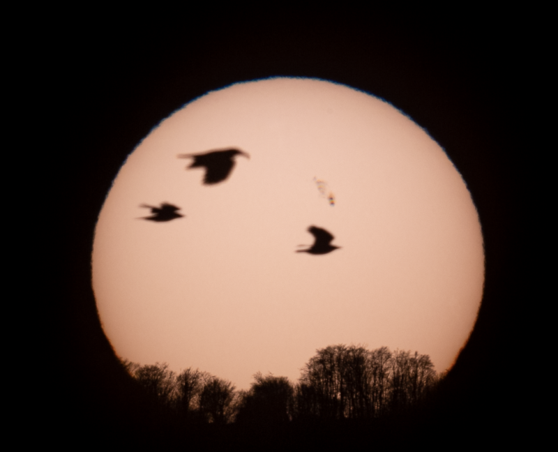 Apus de soare, pată mare și 3 corbi mari care traversează fața soarelui.