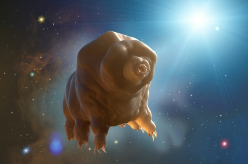 Send life to the nearest star: Lumpy bear shape with 6 legs floating in front of outer space scene.