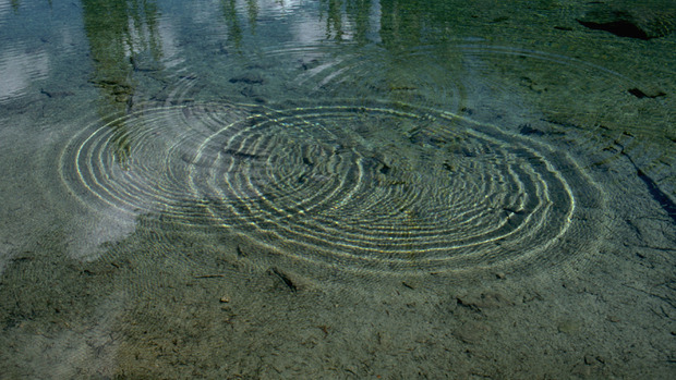 Ripples spreading out from 2 stones thrown in a pond.