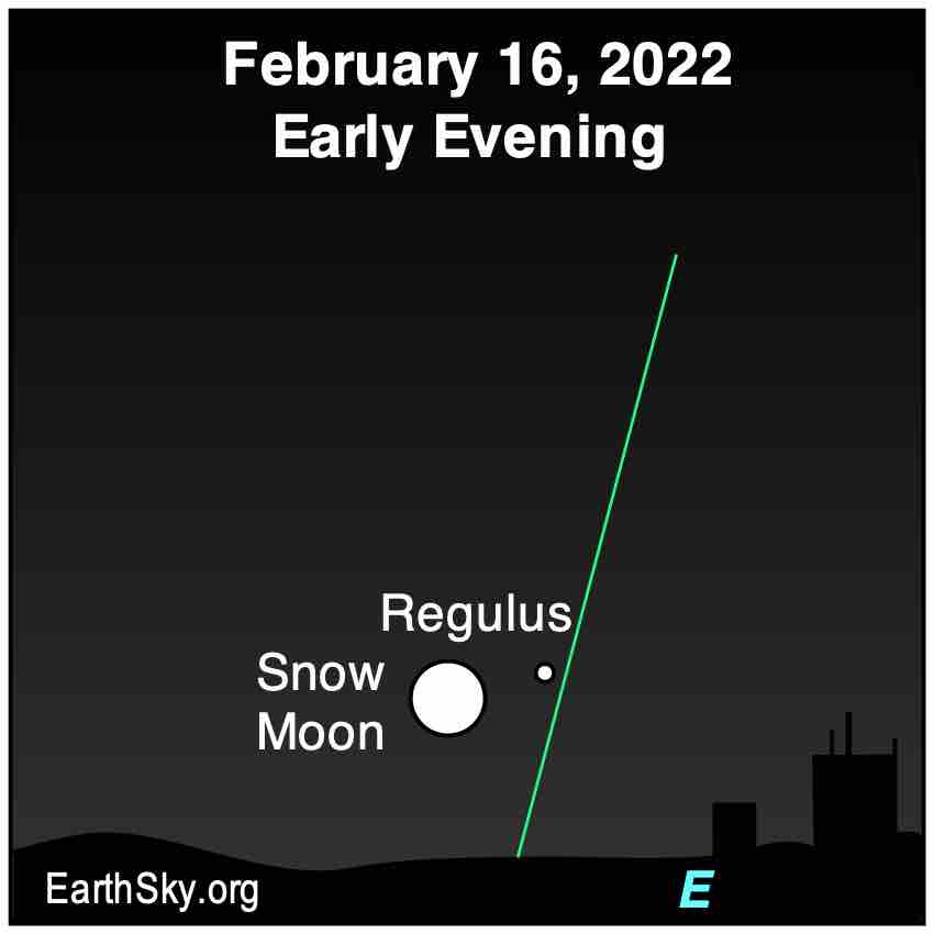 EarthSky February full moon Snow Moon near Regulus February 16