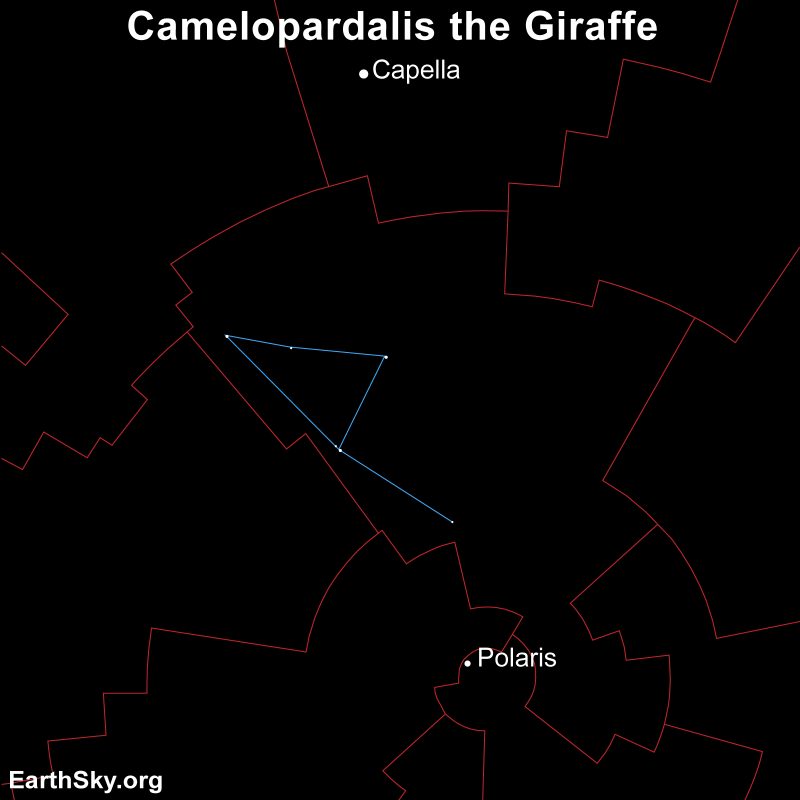 Camelopardalis: Pennant shape in blue lines with larger irregular red box around it. Capella and Polaris labeled outside the red box.
